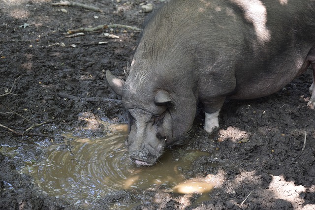 但长期来看 但长期来看