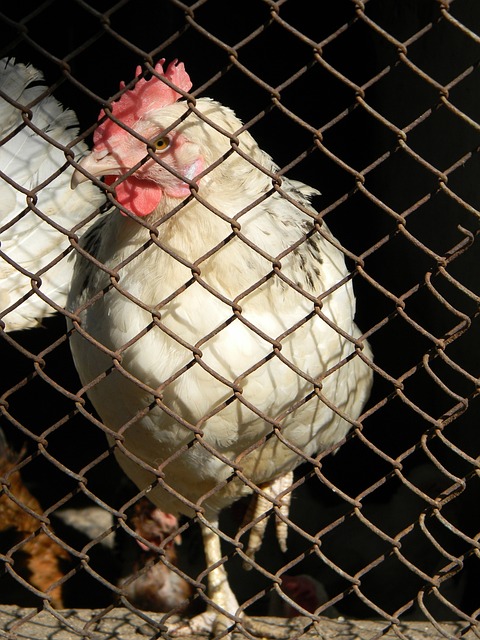 这一次会见 这一次会见