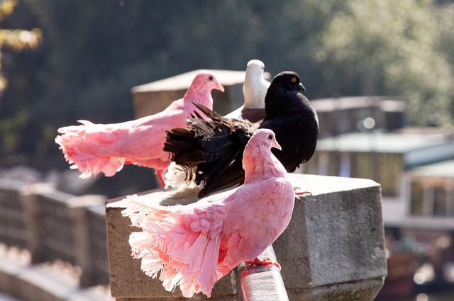 提醒我们 提醒我们