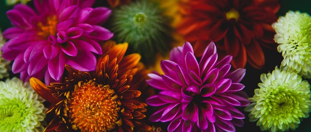 来显著影响 来显著影响