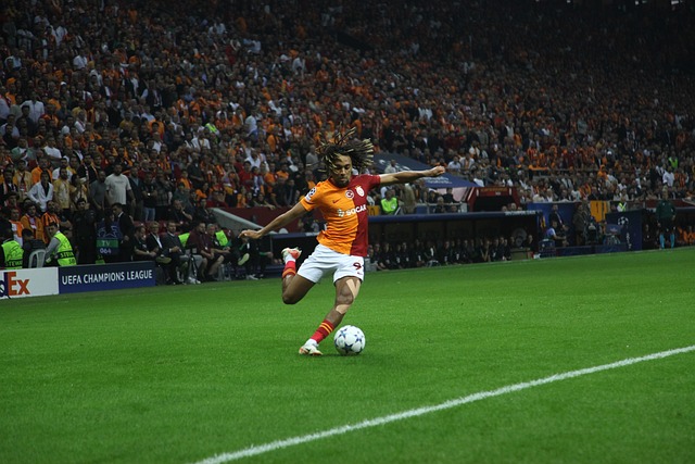 應美國多元 應美國多元